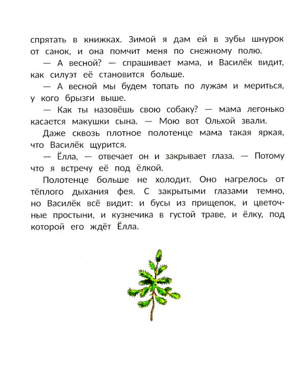 Василек, березовый фей