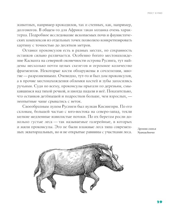 Байки из грота: 50 историй из жизни древних людей; Борьба за обед: еще 50 баек из грота (комплект из 2-х книг)