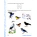 Учебно-методический комплект "Комплексный подход к преодолению ОНР у дошкольников" Говорим правильно в 5-6 лет: Комплект из 2-х альбомов упражнений по обучению грамоте детей старшей логогруппы