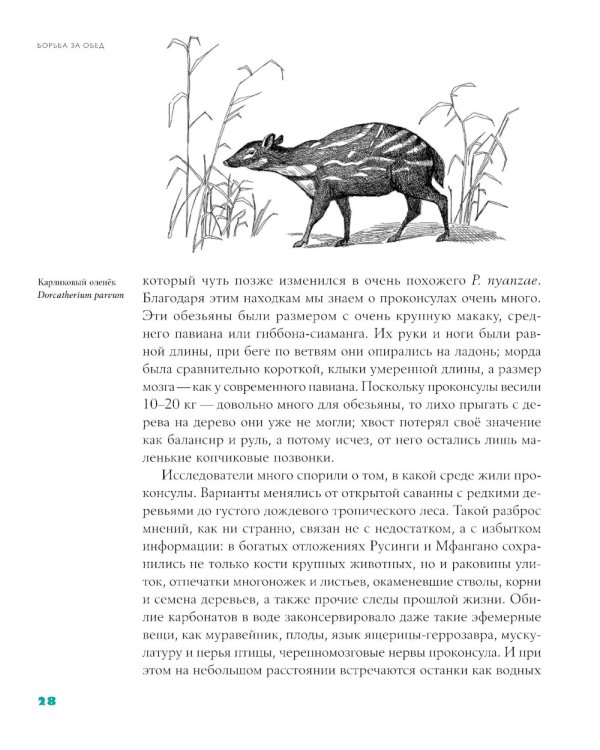 Байки из грота: 50 историй из жизни древних людей; Борьба за обед: еще 50 баек из грота (комплект из 2-х книг)