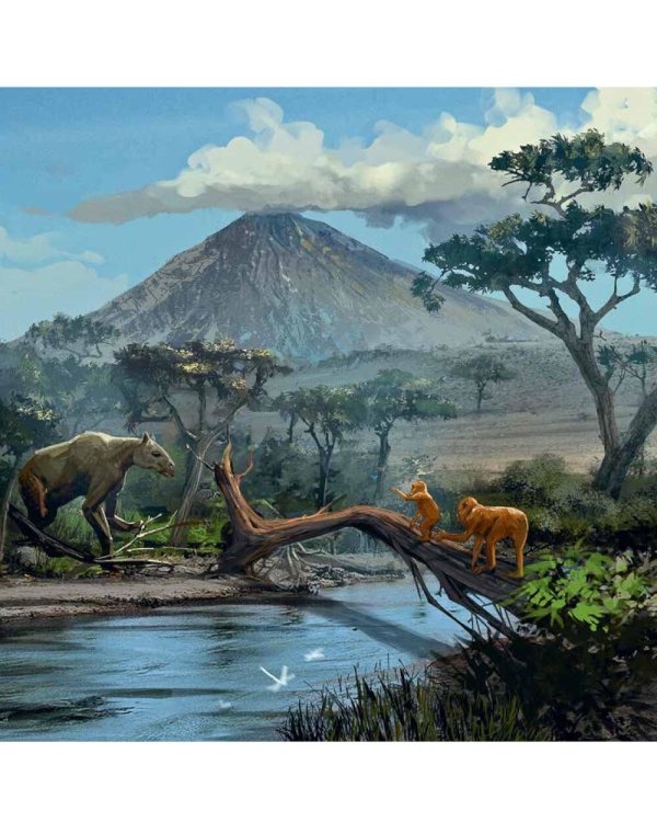 Байки из грота: 50 историй из жизни древних людей; Борьба за обед: еще 50 баек из грота (комплект из 2-х книг)