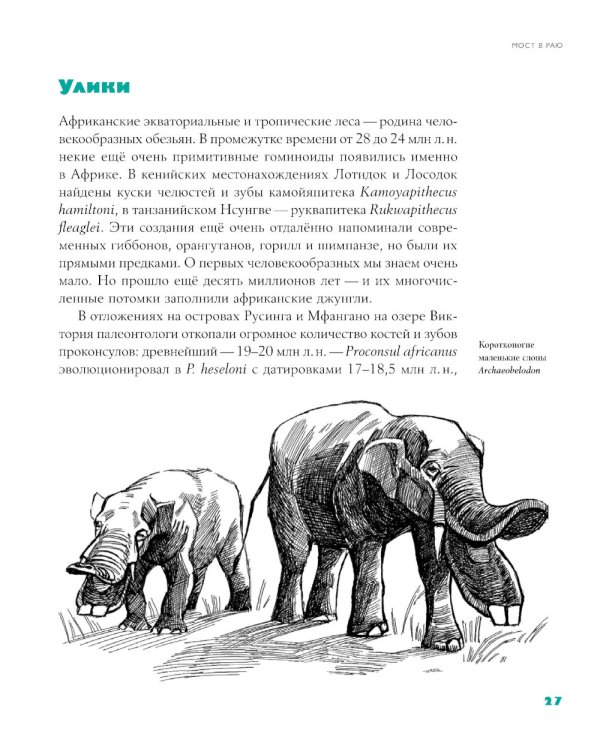 Байки из грота: 50 историй из жизни древних людей; Борьба за обед: еще 50 баек из грота (комплект из 2-х книг)