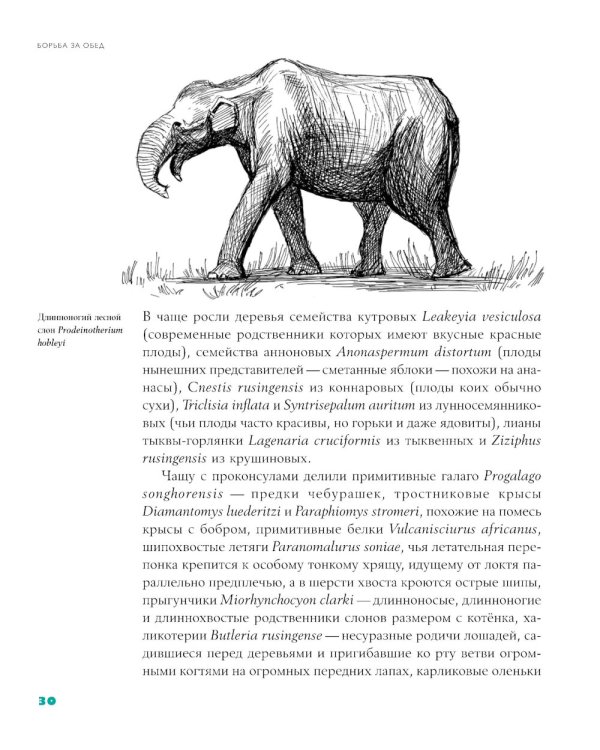 Байки из грота: 50 историй из жизни древних людей; Борьба за обед: еще 50 баек из грота (комплект из 2-х книг)