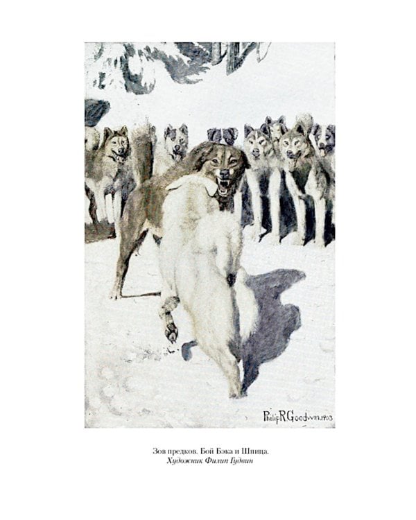 Зов предков. Белый Клык: Сказания о Дальнем Севере