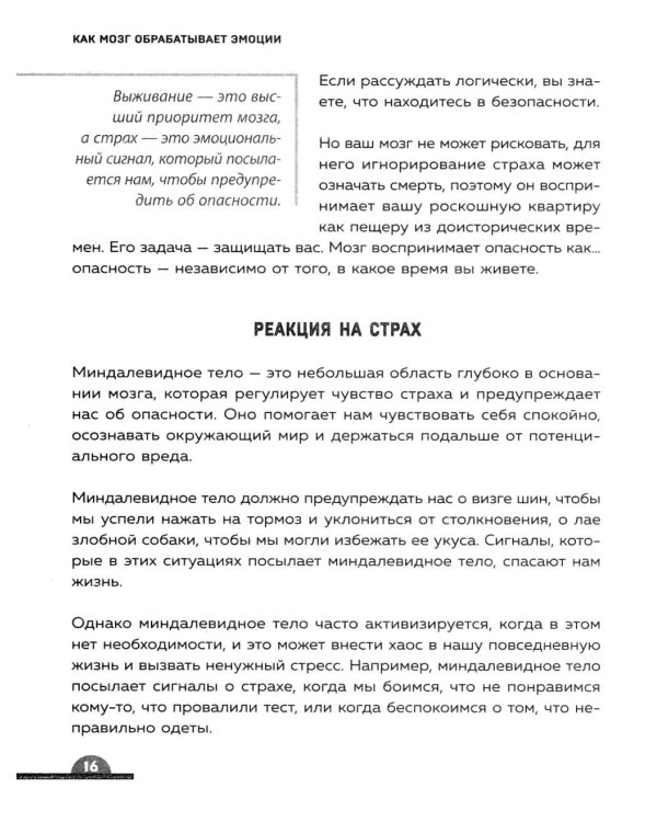 Ты издеваешься? Как научить ребенка управлять эмоциями, когда он вас не слышит
