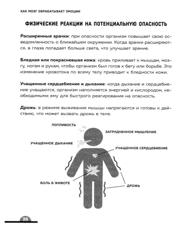 Ты издеваешься? Как научить ребенка управлять эмоциями, когда он вас не слышит
