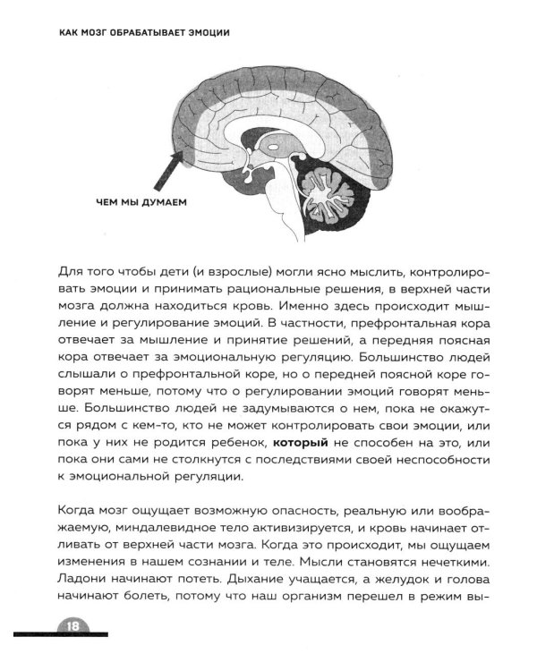 Ты издеваешься? Как научить ребенка управлять эмоциями, когда он вас не слышит