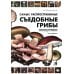 Самые распространенные съедобные грибы. Справочник-определитель начинающего грибника. 3-е изд