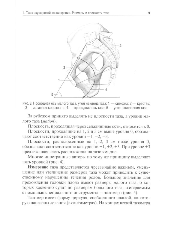 Механизм родов при головном предлежании плода: Учебное пособие