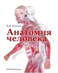 Анатомия человека: Учебник для медицинских вузов. 2-е изд., испр. и доп