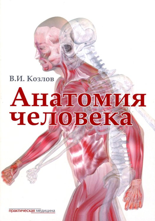 Анатомия человека: Учебник для медицинских вузов. 2-е изд., испр. и доп Анатомия человека: Учебник для медицинских вузов. 2-е изд., испр. и доп