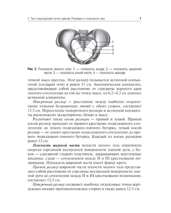 Механизм родов при головном предлежании плода: Учебное пособие
