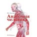 Анатомия человека: Учебник для медицинских вузов. 2-е изд., испр. и доп Анатомия человека: Учебник для медицинских вузов. 2-е изд., испр. и доп