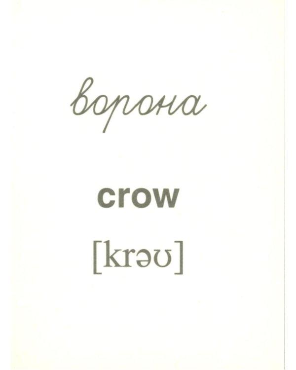 Зимующие птицы (16 раздаточных карточек с текстом на обороте): Учебное изд