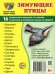 Зимующие птицы (16 раздаточных карточек с текстом на обороте): Учебное изд