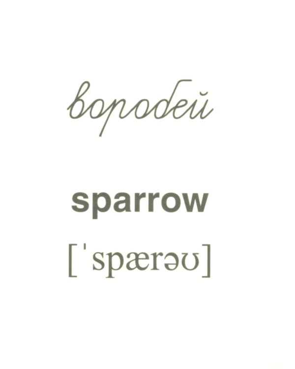 Зимующие птицы (16 раздаточных карточек с текстом на обороте): Учебное изд