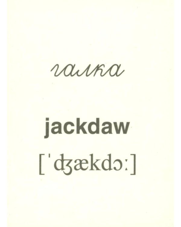 Зимующие птицы (16 раздаточных карточек с текстом на обороте): Учебное изд