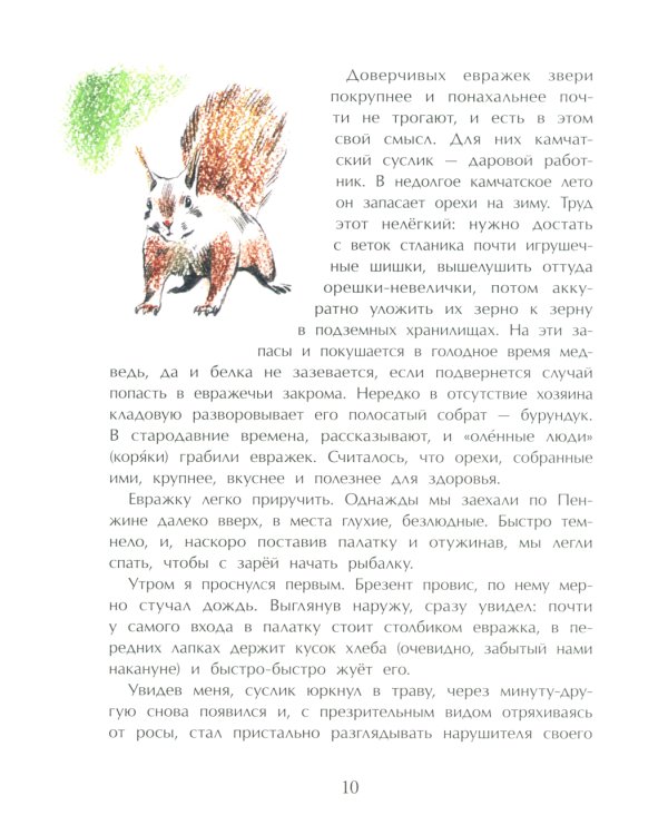 Заяц в море. Рассказы о Северной Камчатке. Вып. 32. 3-е изд