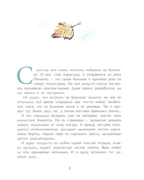 Заяц в море. Рассказы о Северной Камчатке. Вып. 32. 3-е изд