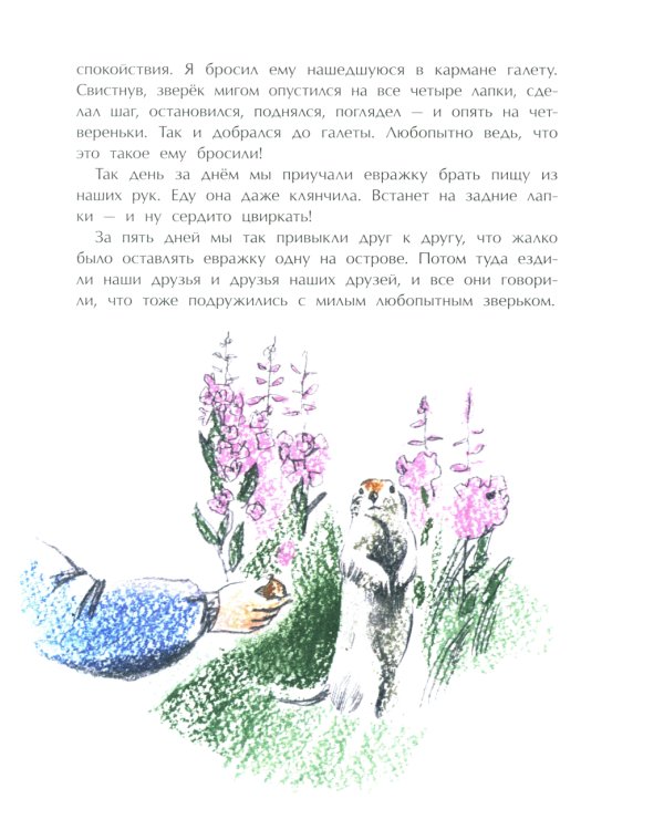 Заяц в море. Рассказы о Северной Камчатке. Вып. 32. 3-е изд