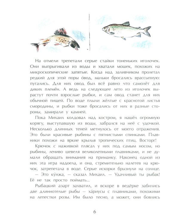 Заяц в море. Рассказы о Северной Камчатке. Вып. 32. 3-е изд