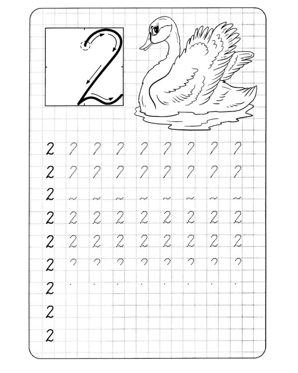 Прописи. Пишем цифры