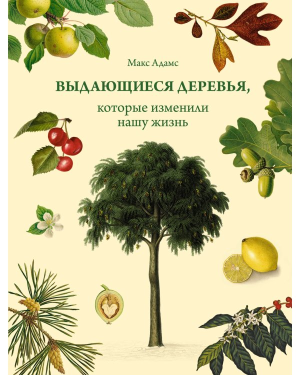 Выдающиеся деревья, которые изменили нашу жизнь