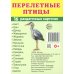 Перелетные птицы (16 раздаточных карточек с текстом на обороте): Учебное изд
