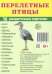 Перелетные птицы (16 раздаточных карточек с текстом на обороте): Учебное изд