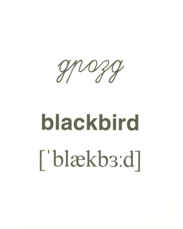 Перелетные птицы (16 раздаточных карточек с текстом на обороте): Учебное изд