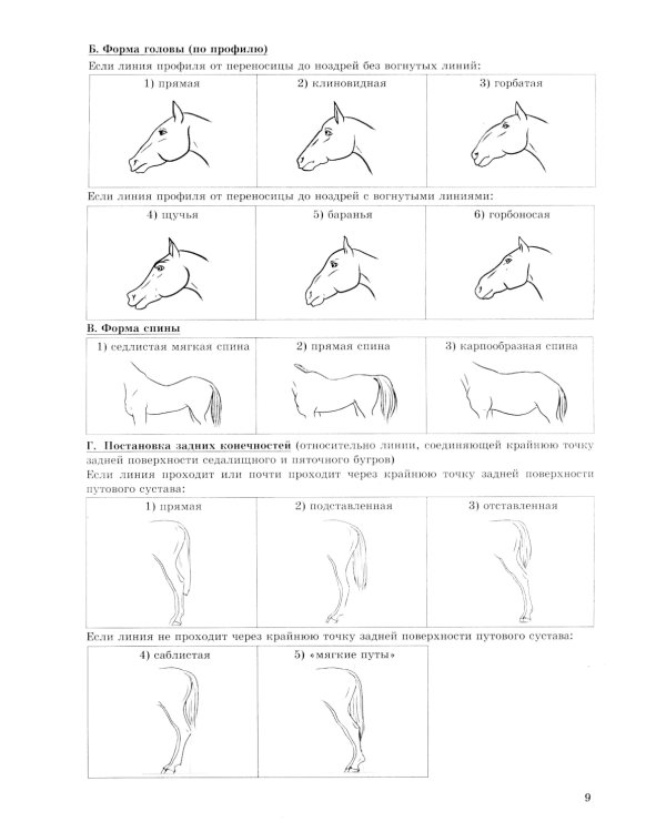 ОГЭ 2025. Биология. 15 вариантов. Типовые варианты экзаменационных заданий