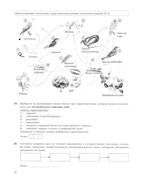 ОГЭ 2025. Биология. 15 вариантов. Типовые варианты экзаменационных заданий