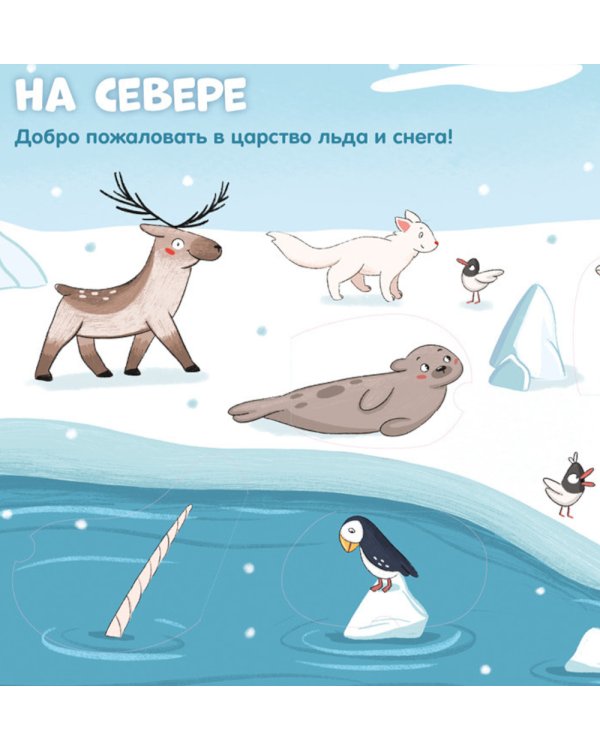 Животные