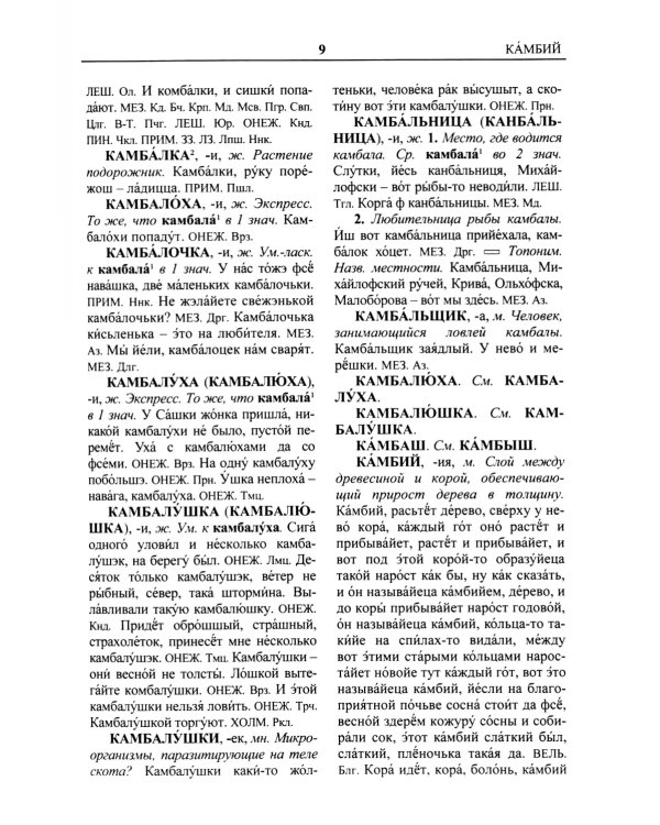 Архангельский областной словарь. Выпуск 25. Кама - кипящей. 2024