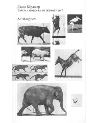 Зачем смотреть на животных? 2-е изд