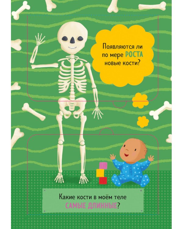Как устроено тело человека. И другие интересные вопросы