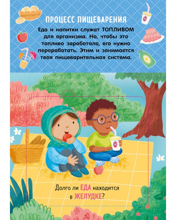 Как устроено тело человека. И другие интересные вопросы