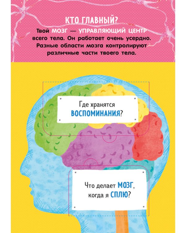 Как устроено тело человека. И другие интересные вопросы