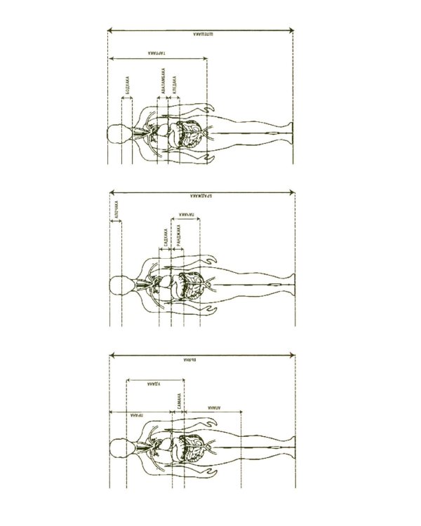 Аюрведа. Секреты хорошего пищеварения и вечной молодости