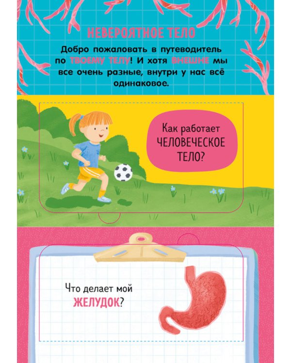Как устроено тело человека. И другие интересные вопросы