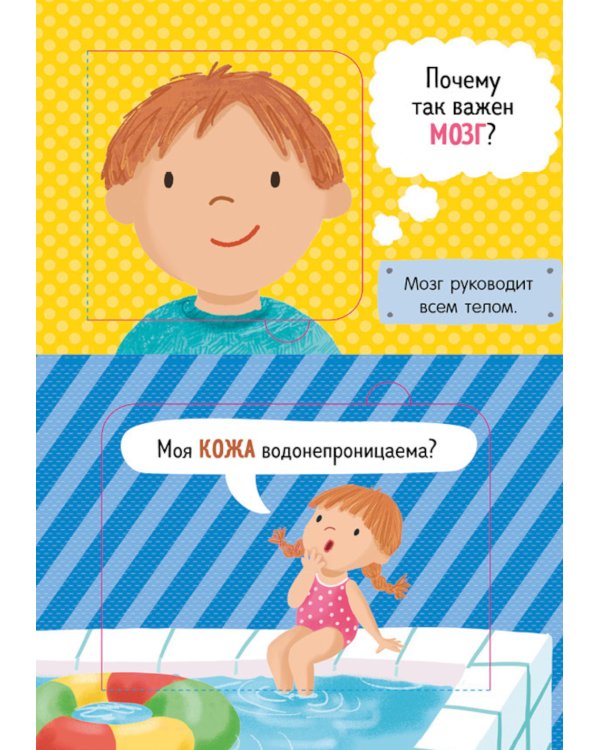 Как устроено тело человека. И другие интересные вопросы