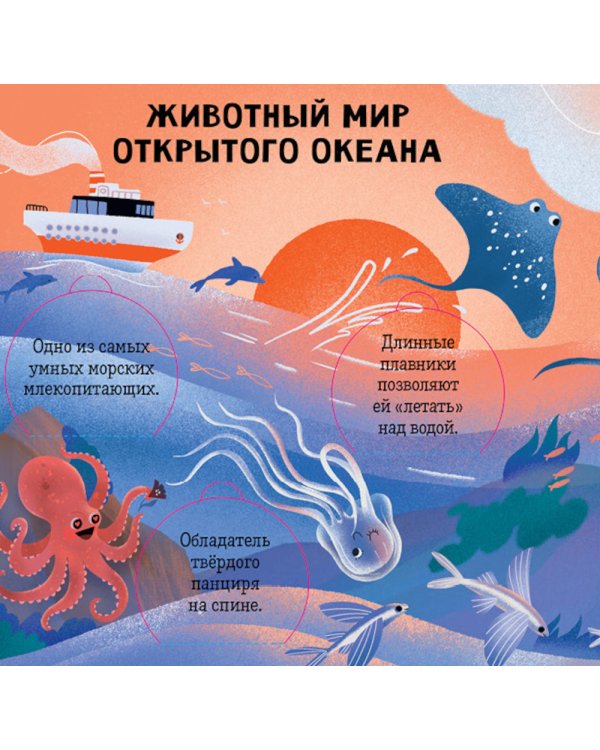 Океаны и моря. Энциклопедия с окошками
