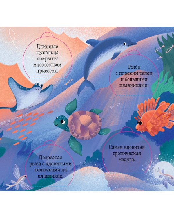 Океаны и моря. Энциклопедия с окошками