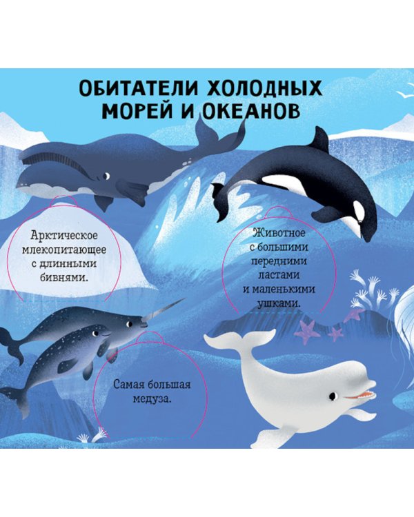Океаны и моря. Энциклопедия с окошками