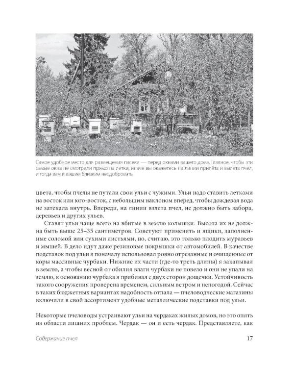 Пчеловодство для начинающих: практическое пошаговое руководство по созданию пасеки с нуля