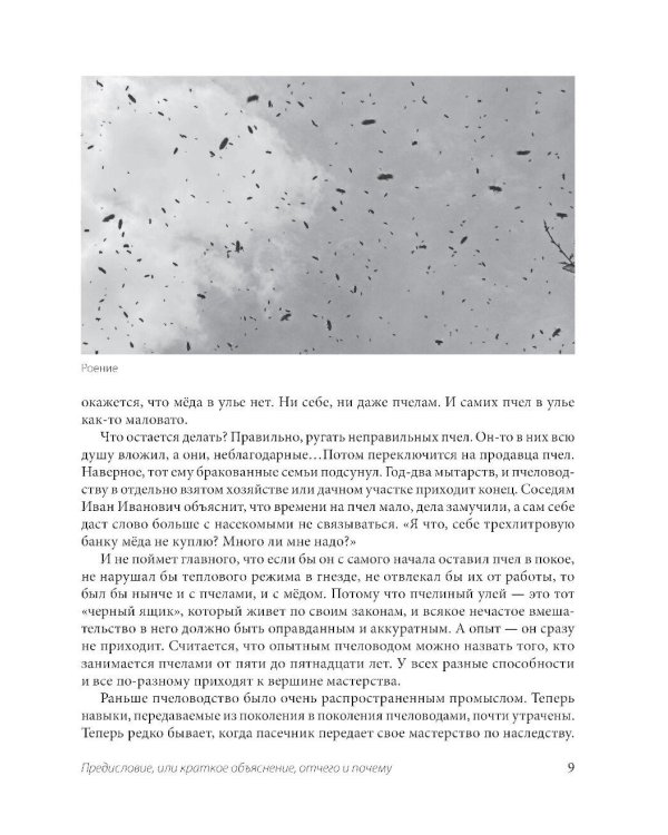 Пчеловодство для начинающих: практическое пошаговое руководство по созданию пасеки с нуля