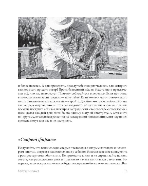 Пчеловодство для начинающих: практическое пошаговое руководство по созданию пасеки с нуля