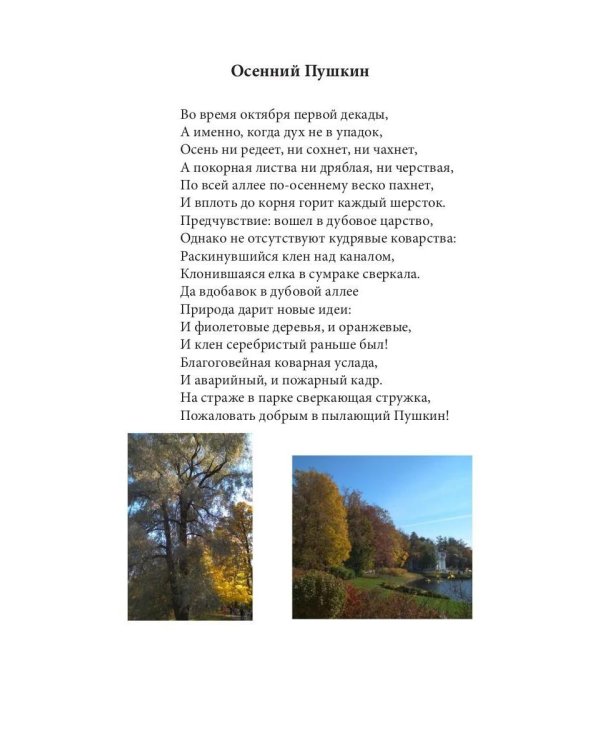 Светодинамика