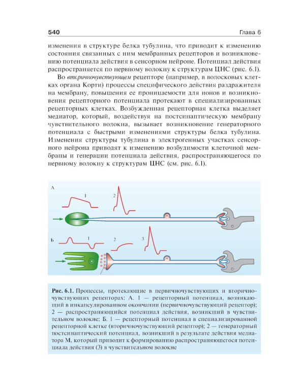 Нормальная физиология: Учебник. 2-е изд., стер