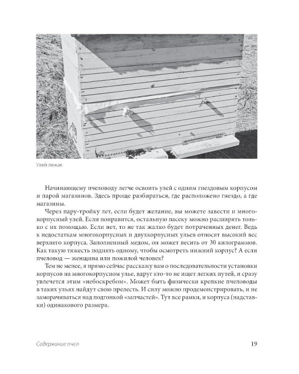 Пчеловодство для начинающих: практическое пошаговое руководство по созданию пасеки с нуля
